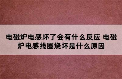 电磁炉电感坏了会有什么反应 电磁炉电感线圈烧坏是什么原因